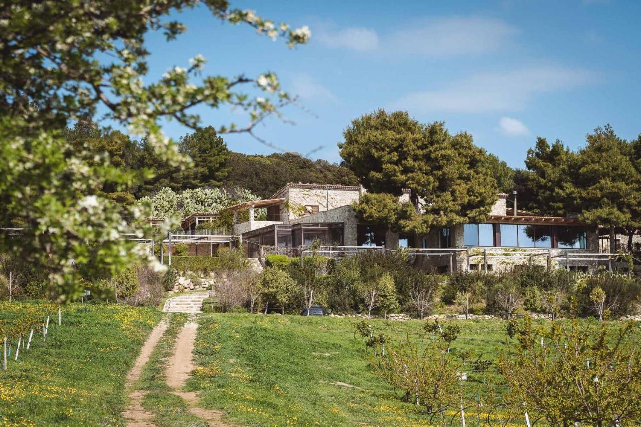 Masseria Agriturismo Torre Di Albidona Требизаче Екстериор снимка