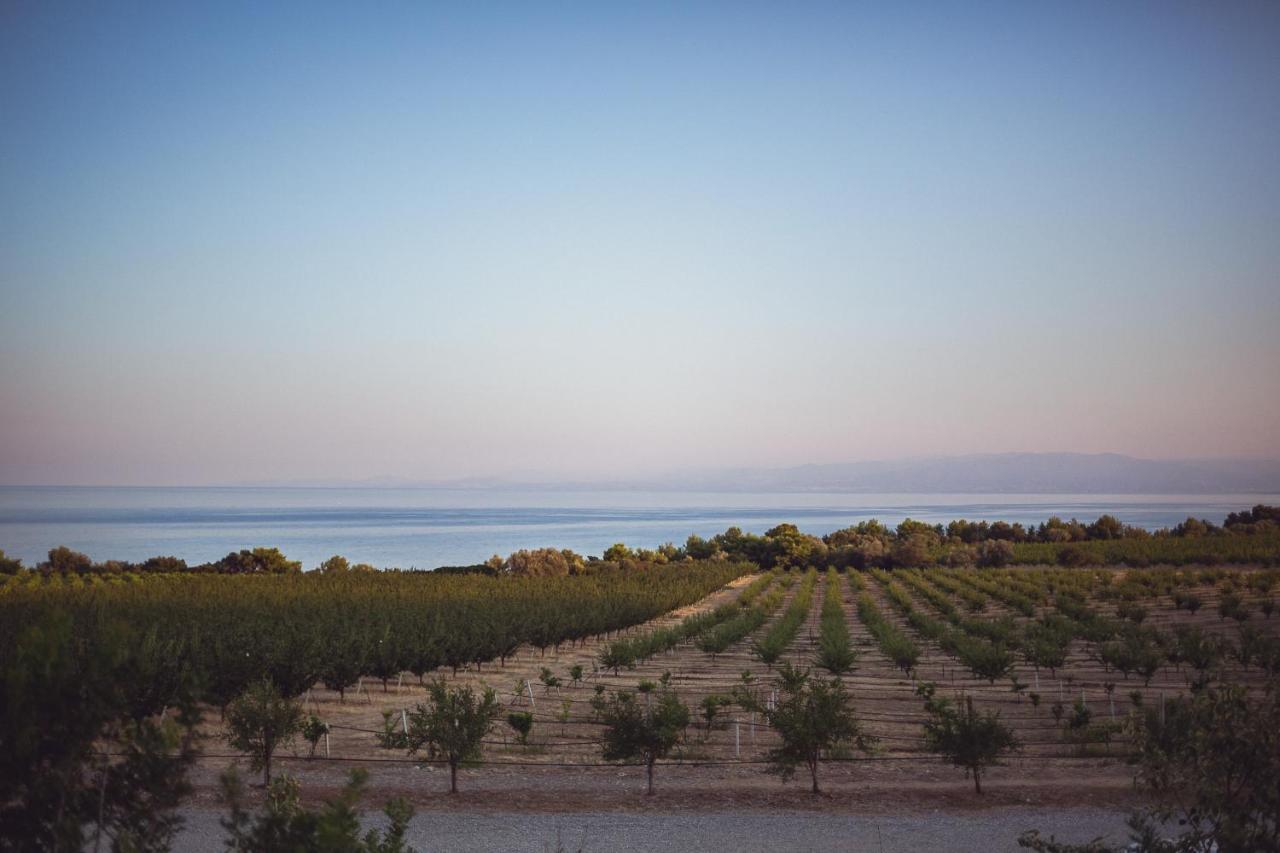 Masseria Agriturismo Torre Di Albidona Требизаче Екстериор снимка