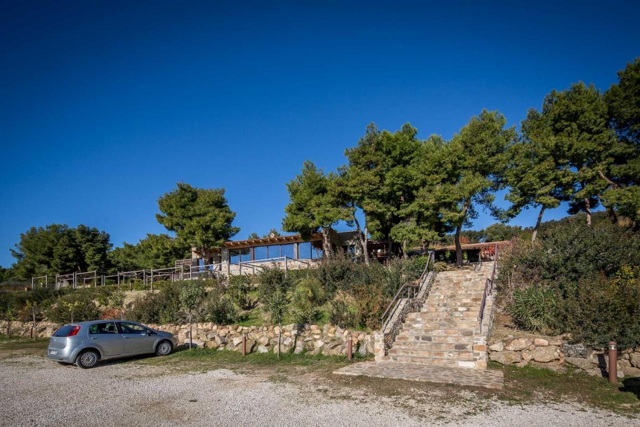 Masseria Agriturismo Torre Di Albidona Требизаче Екстериор снимка
