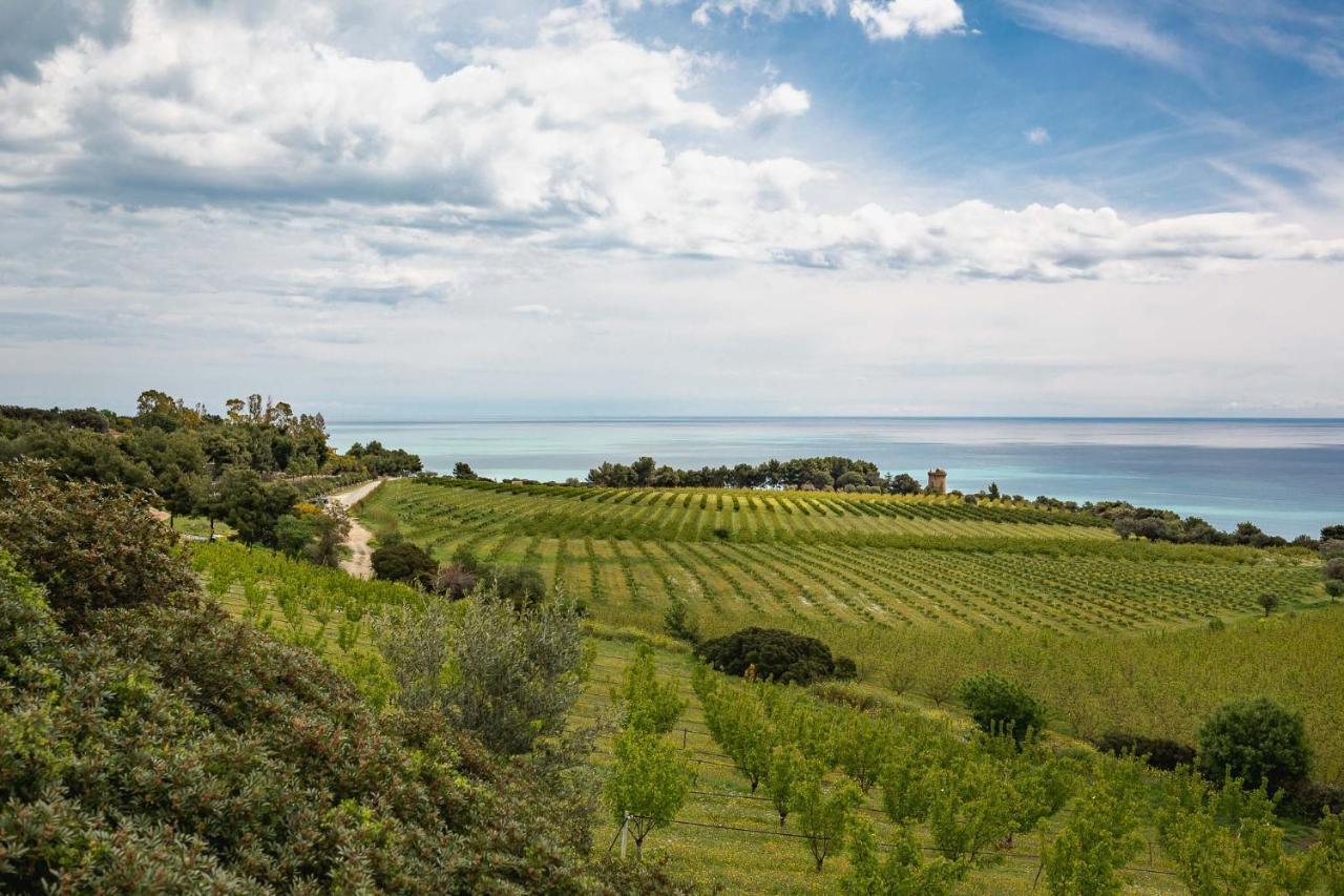 Masseria Agriturismo Torre Di Albidona Требизаче Екстериор снимка
