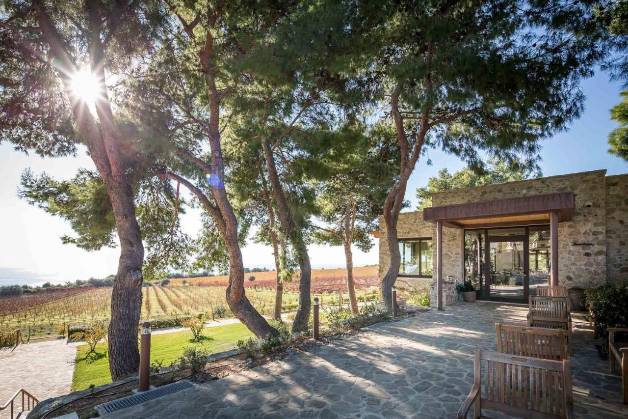 Masseria Agriturismo Torre Di Albidona Требизаче Екстериор снимка